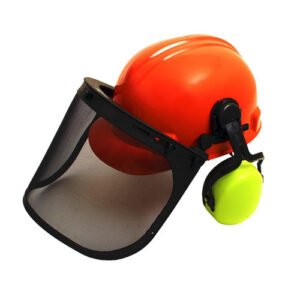 Protective helmet